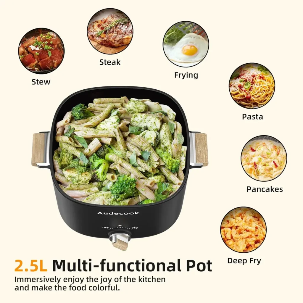 Audecook Electric Hot Pot